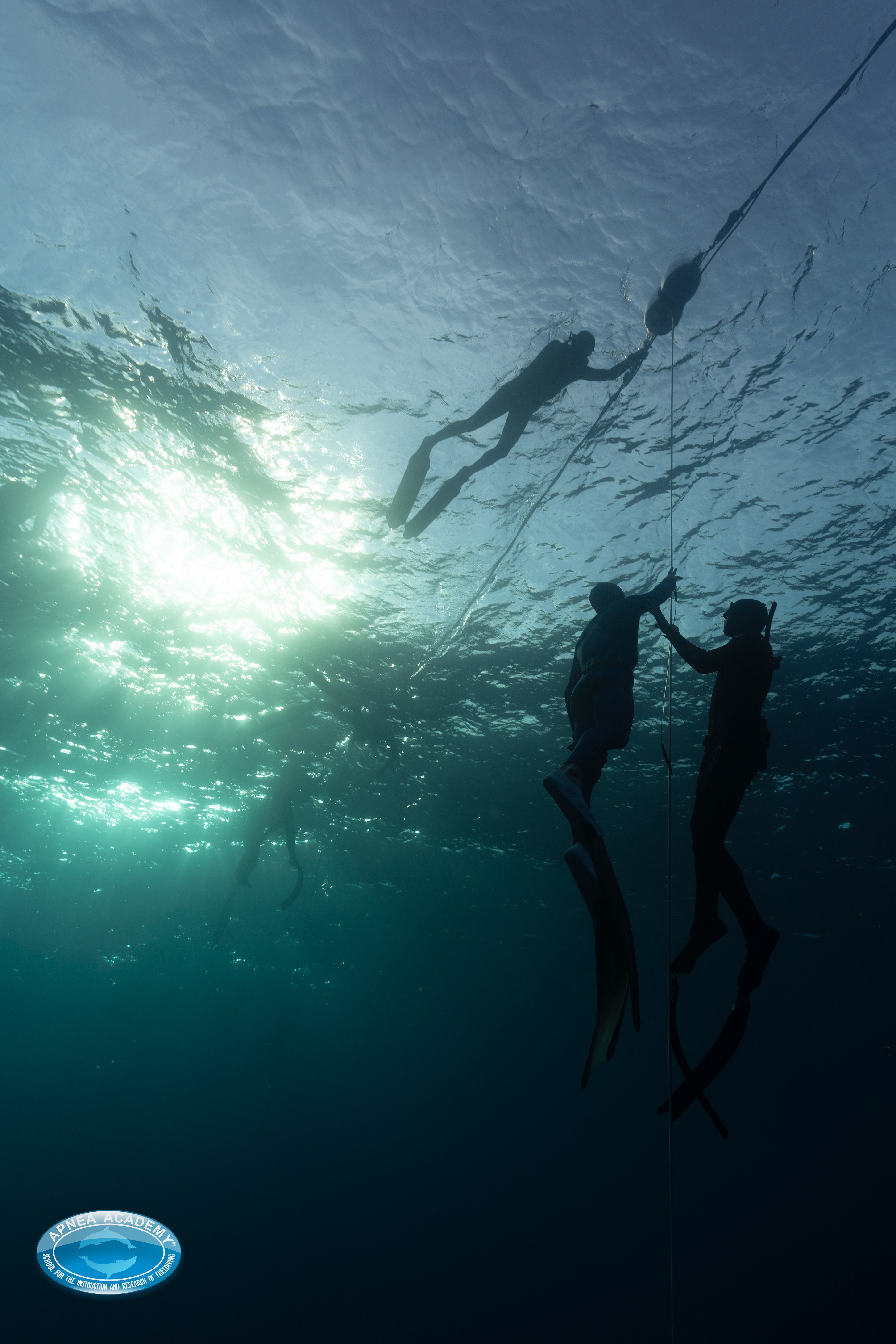 Freediving photo