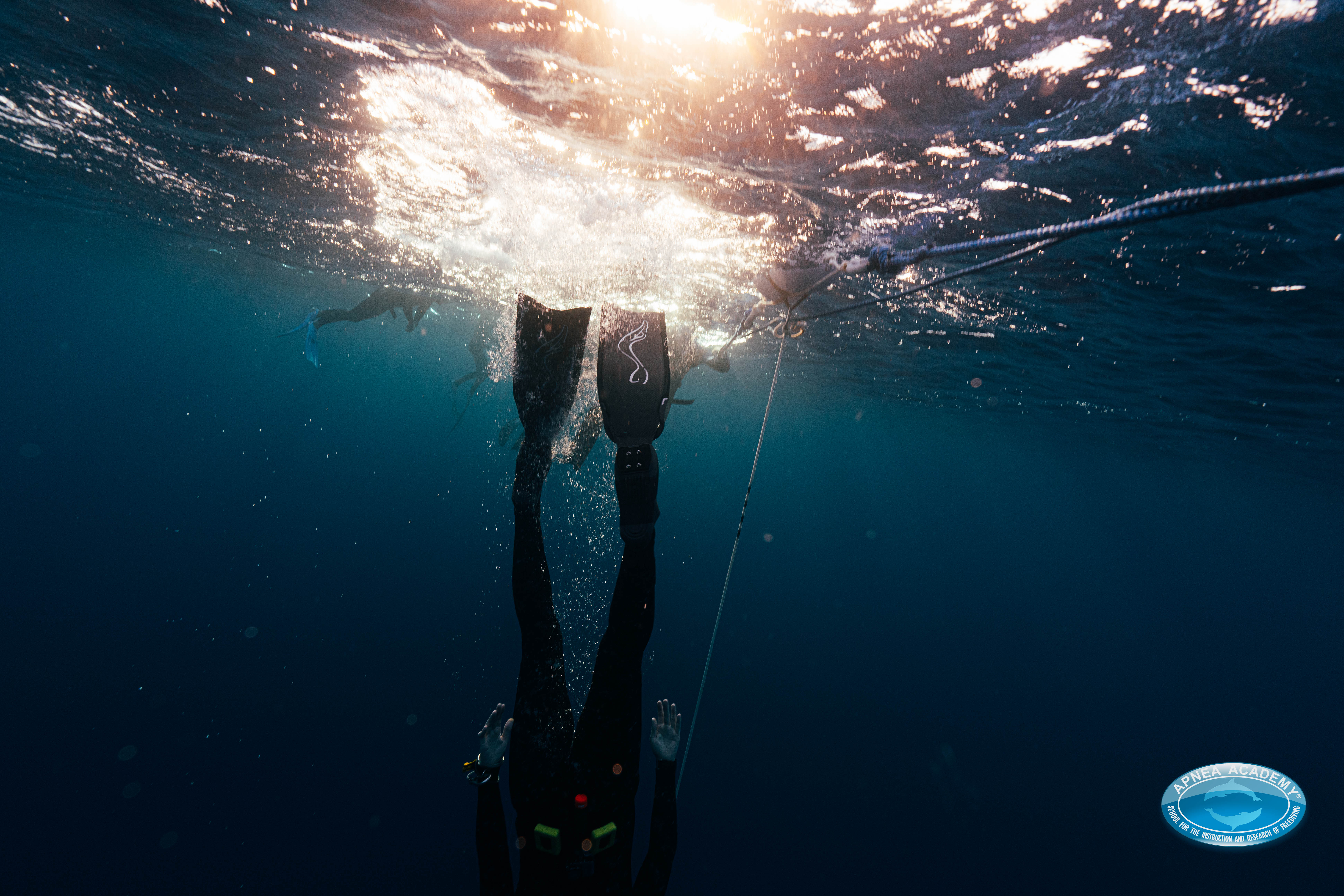 Freediving photo