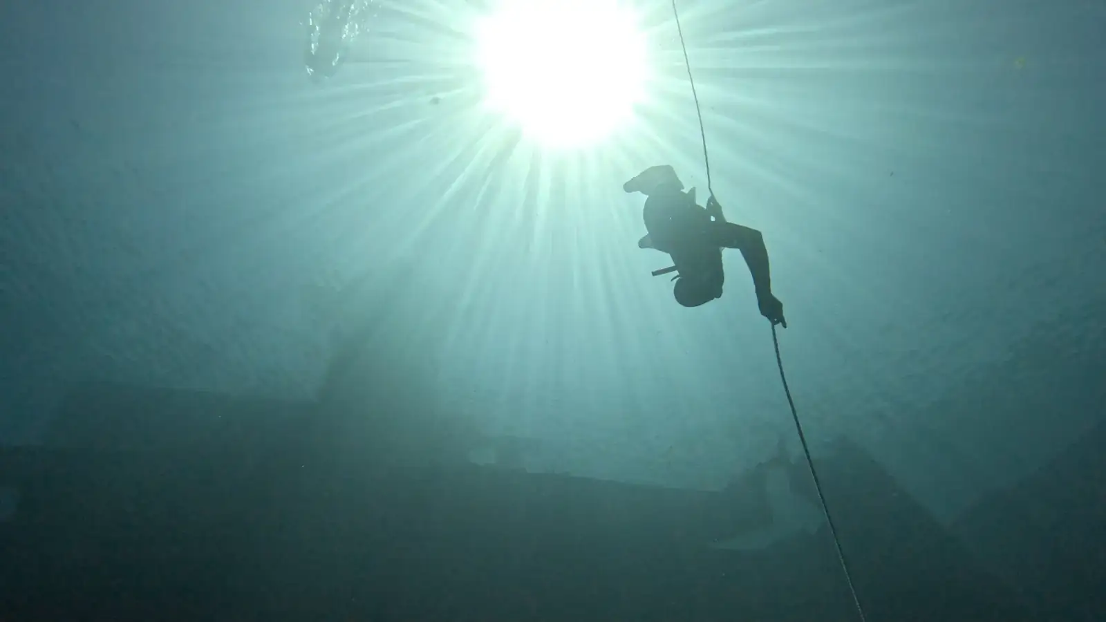 Freediving pod hladinou